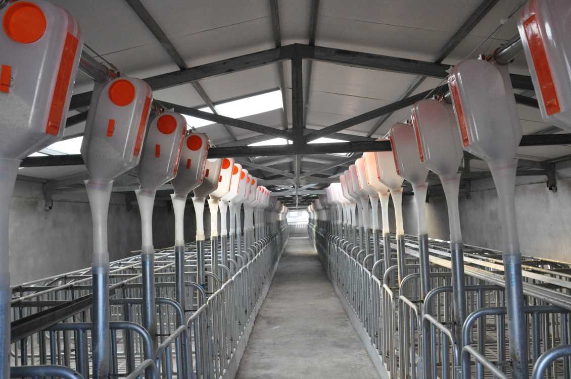 要怎样进行上海养猪场除臭？