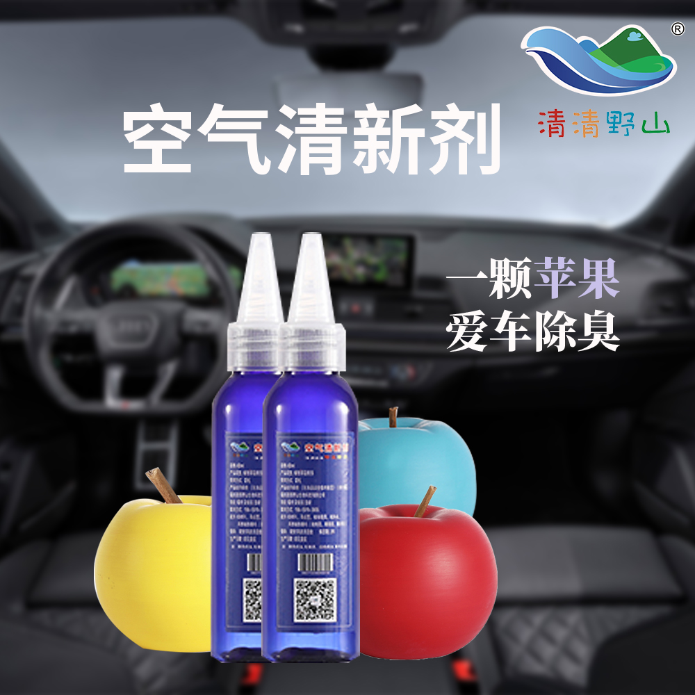 上海轿车专用 远保空气清新