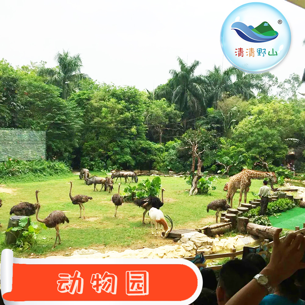 需要哪些条件才能进行上海动物园除臭