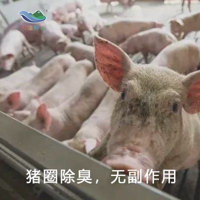 上海养猪场除臭设备的原理以及结构