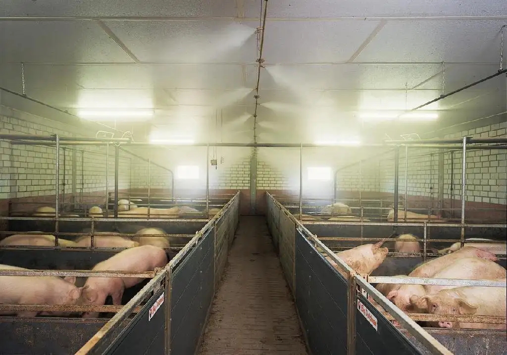 除了运用除臭剂，还有7种办法进行上海养猪场除异味