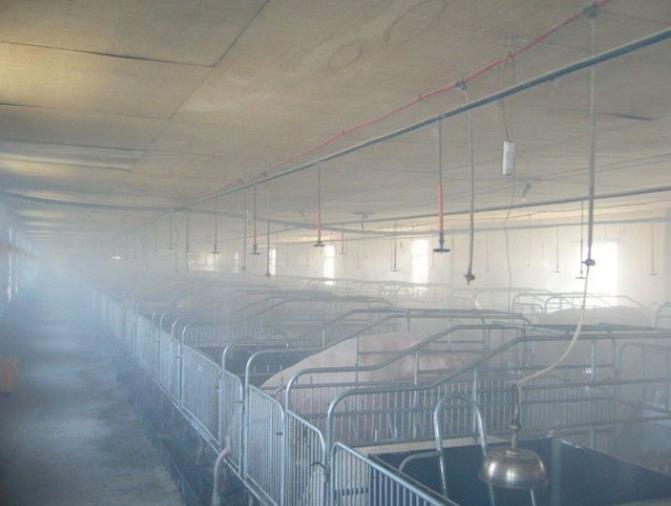 分享四大上海养殖场除臭办法，看哪个更有用？