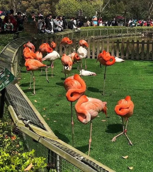 上海动物园除臭解决方案