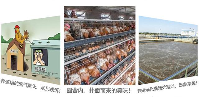 上海养殖场异味处理有哪几种方法？