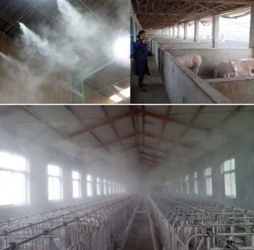 上海养猪场除臭剂管用吗？养猪场臭气熏天怎么办？
