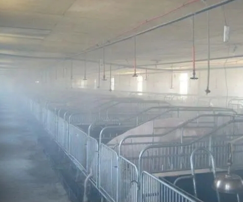 需要注意的上海养猪场除臭安全问题